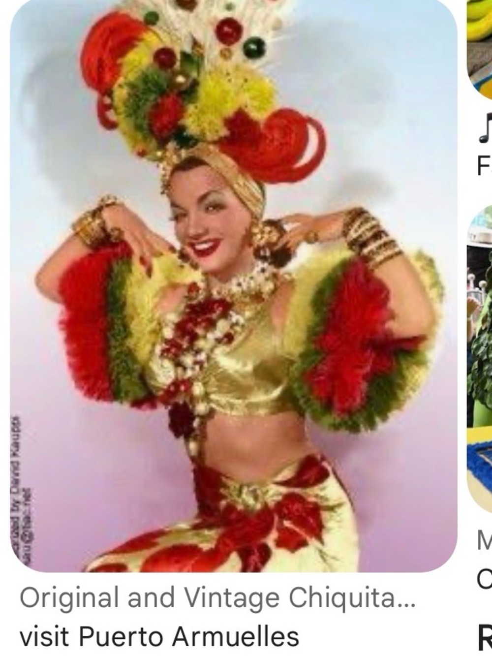 Chiquita banana lady - Carmen Miranda or festival / carnivale costume. - Picture 7 of 7